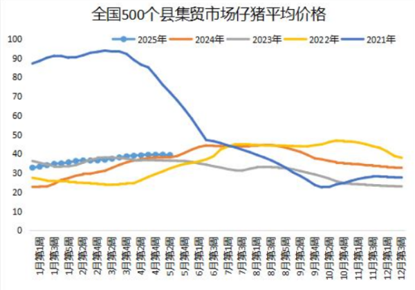 股神配资 仔猪价格涨少跌多 周均价高位回落