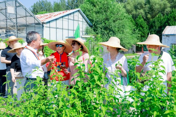 策略大赢家 北京市社管退休人员活动新基地成立