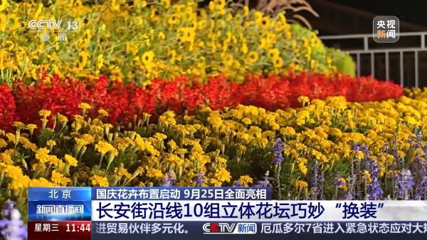 赤盈配资 45万盆、超7000平方米 首都国庆花卉布置25日起全面亮相